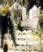 event planning management company.